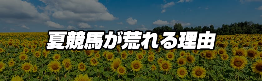 夏競馬が荒れる理由の解説画像