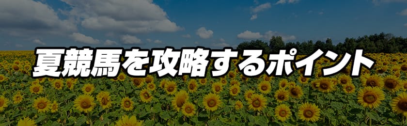 夏競馬を攻略するポイントの解説画像