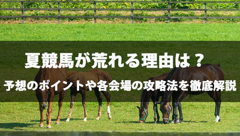夏競馬荒れる理由解説記事のアイキャッチ画像