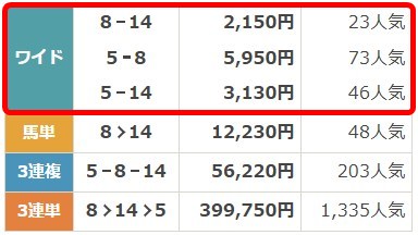 バツグンの無料予想2025年5月17日新潟11R払戻し