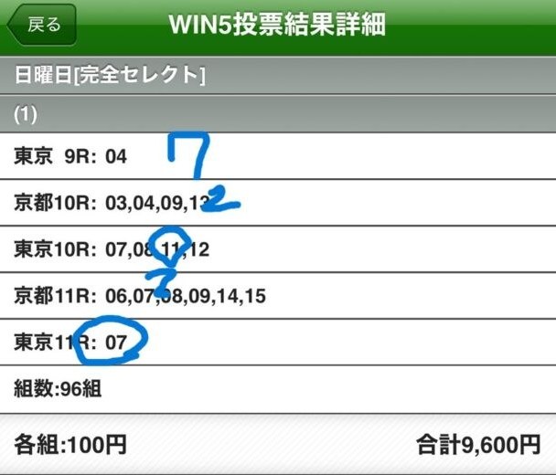 2025年11月2日WIN5予想購入画像
