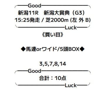 バツグンの無料予想2025年5月17日新潟11Rの画像