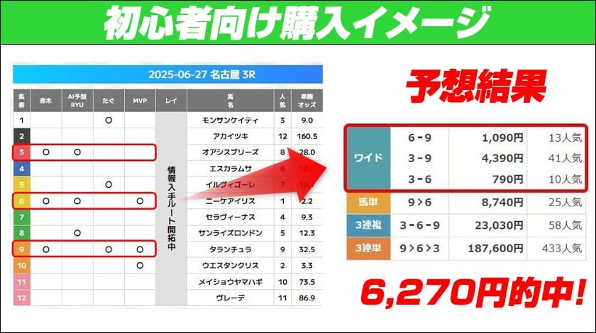 万馬券EXPOの無料予想を初心者が使う際の解説画像