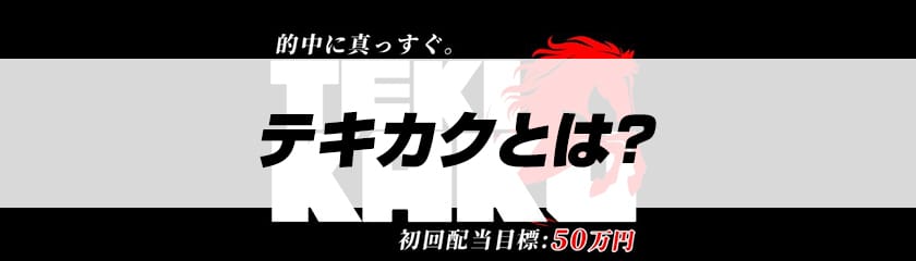 テキカクとは？サムネイル