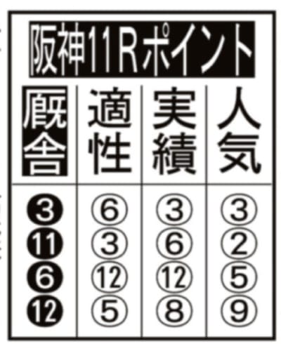 競馬エイトのコンテンツレースのポイント解説