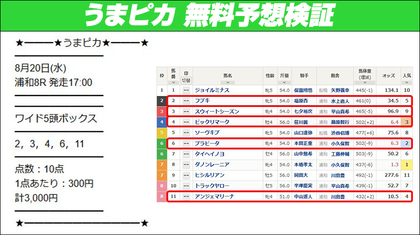うまピカ無料予想検証3回目の内容
