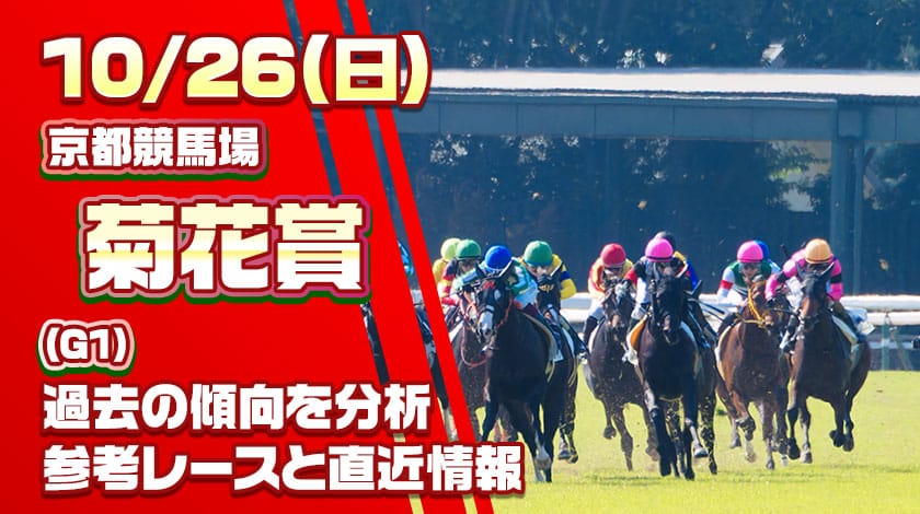 菊花賞2025予想記事のサムネイル