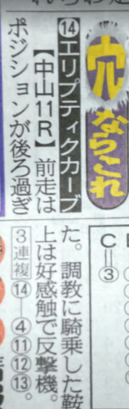 サンスポ「穴ならこれ」