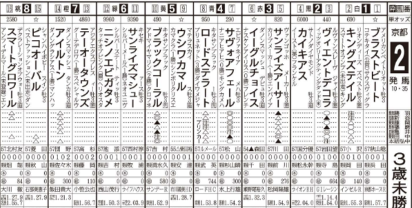 日刊ゲンダイ出馬表の見方を解説