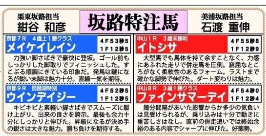 馬サブロー坂路特注馬