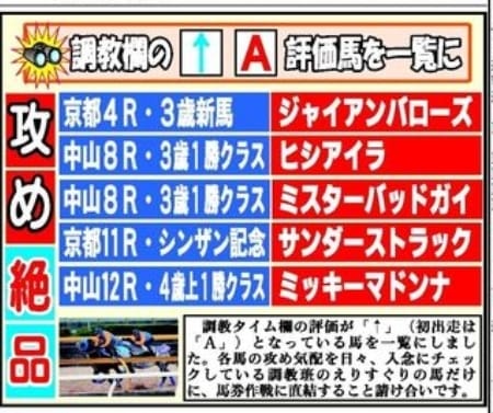 馬サブロー攻め絶品