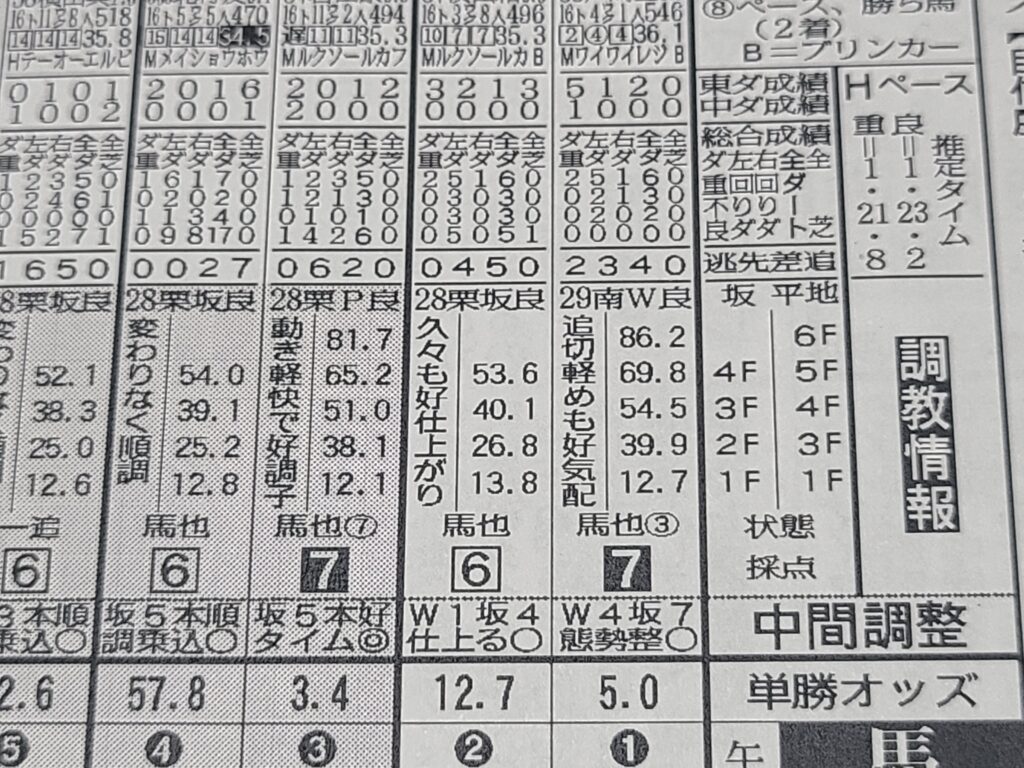 東スポ調教の見方