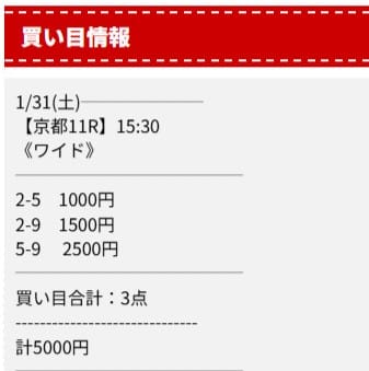 ディギン競馬無料予想的中画像