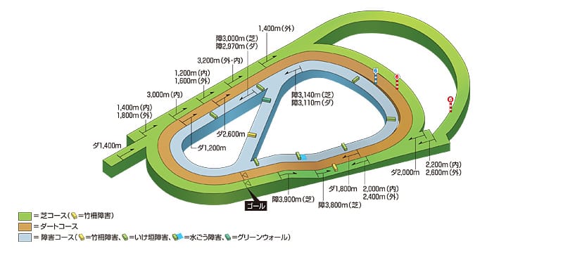 阪神競馬場コースレイアウト