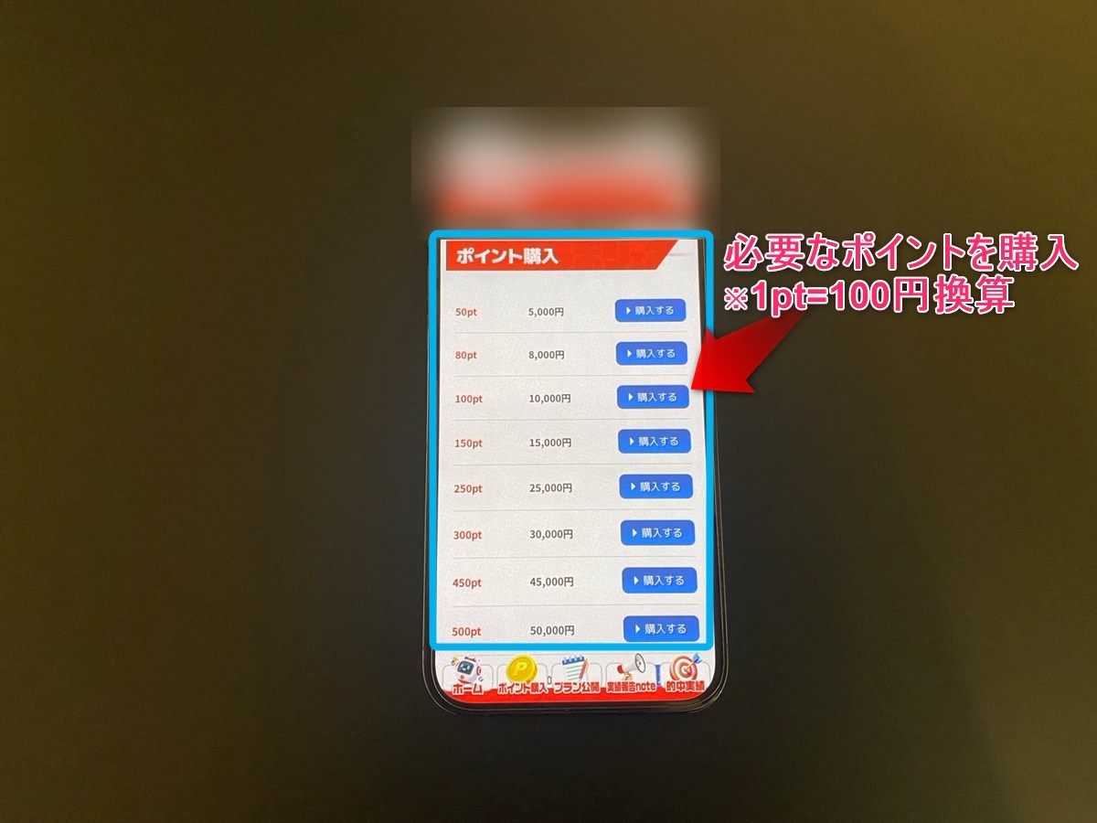 有料予想のポイント購入方法2