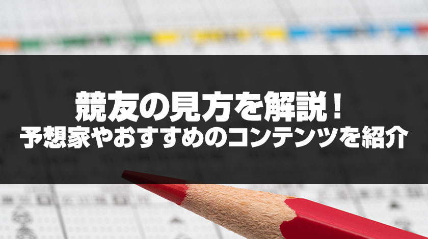 競友競馬新聞見方のサムネイル