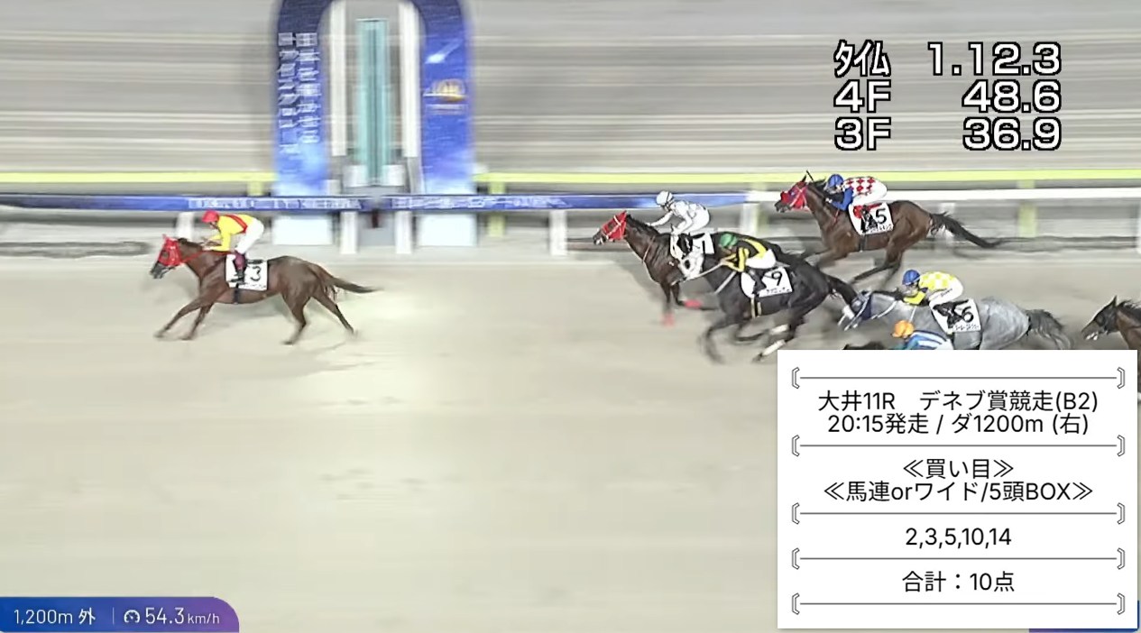 大井11Rレース解説画像