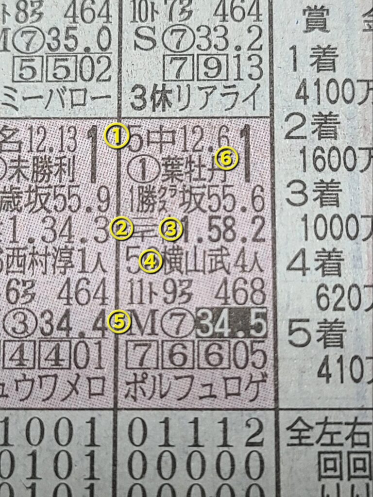 日刊スポーツ馬柱