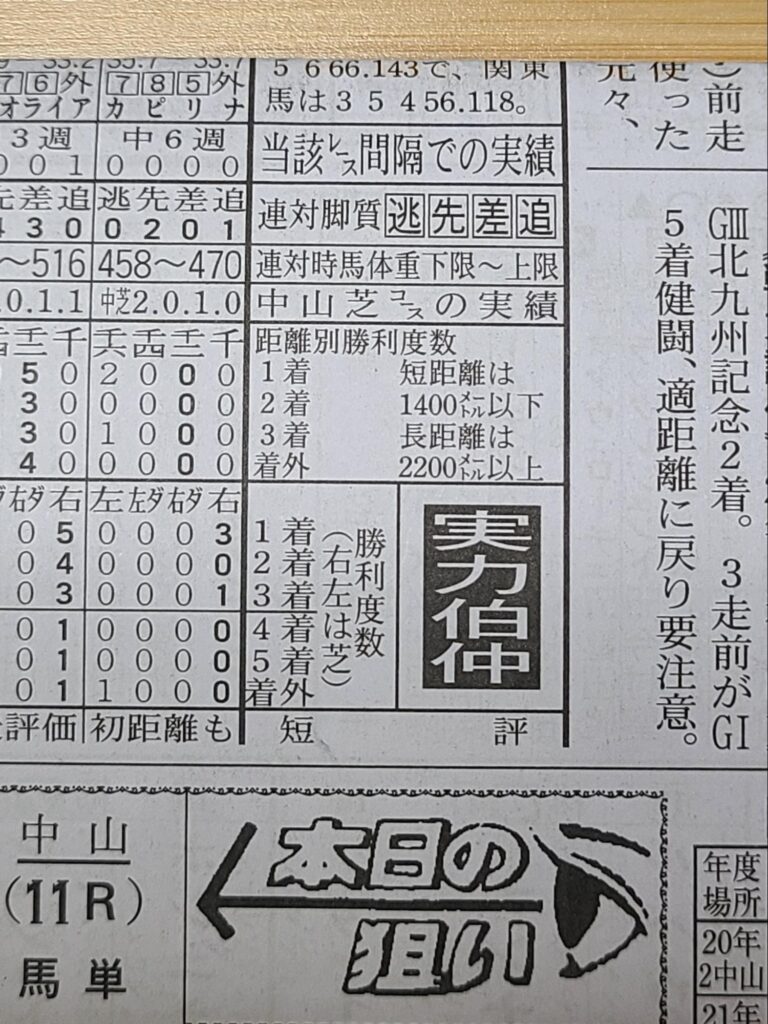 勝馬のレース短評