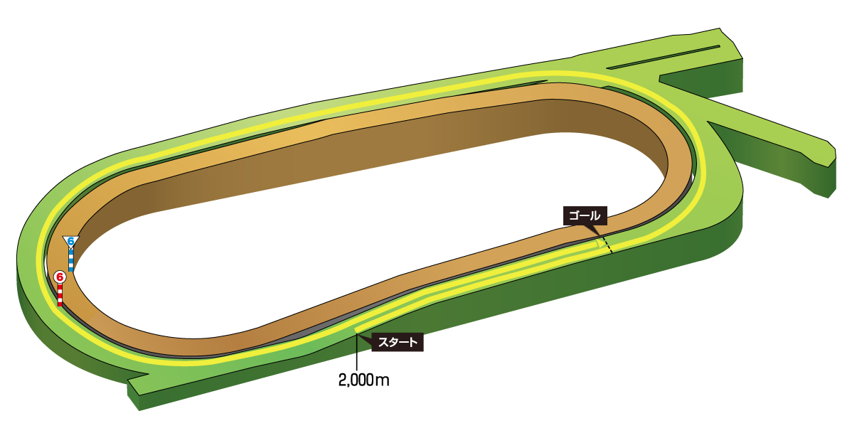 金鯱賞コースレイアウト