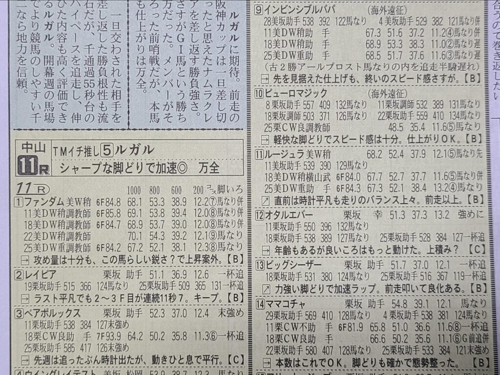 日刊競馬の調教欄