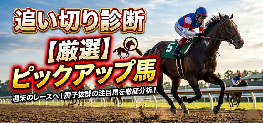 追い切り診断ピックアップのアイキャッチ画像