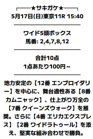 勝馬サプライズウルトラの無料予想的中画像