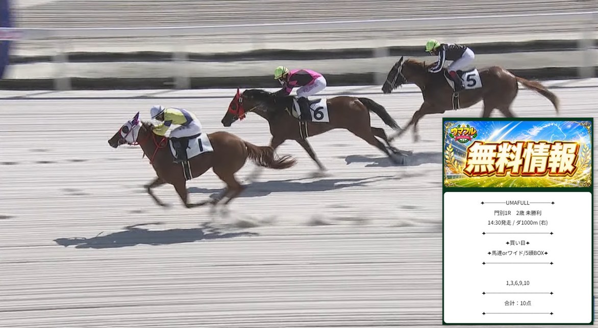 門別1Rレース解説画像
