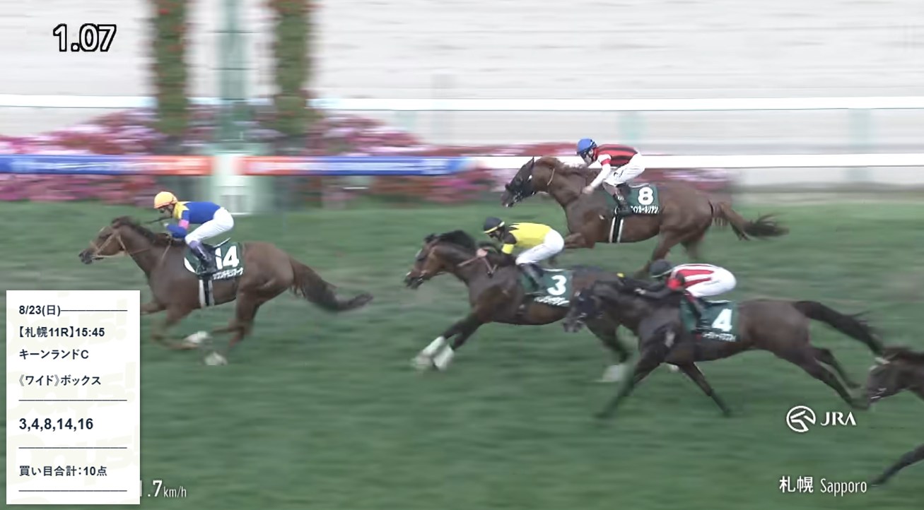 札幌11Rレース解説画像